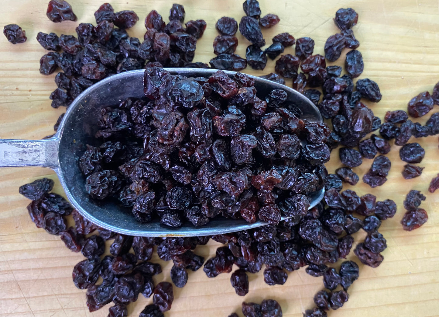 Σταφίδα μαύρη